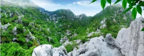 政府委托招商合作丨全力助推浙江衢州常山縣傳統(tǒng)產(chǎn)業(yè)加快升級(jí)，新興產(chǎn)業(yè)異軍突起