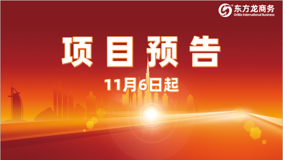 搶抓進(jìn)博機(jī)遇，堅(jiān)持一線(xiàn)開(kāi)發(fā)！11月6日起，17家優(yōu)質(zhì)投資選址企業(yè)精準(zhǔn)對(duì)接全國(guó)政府園區(qū)